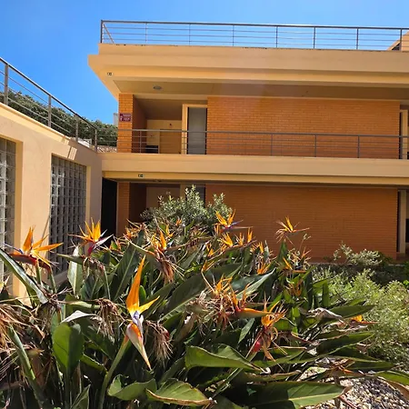 Da Da Areia Branca *